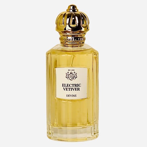 Devine Electric Vetiver — фото флакона
