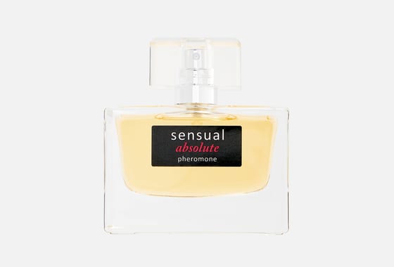 Парфюмерия Xxi Века Sensual Absolute — фото флакона